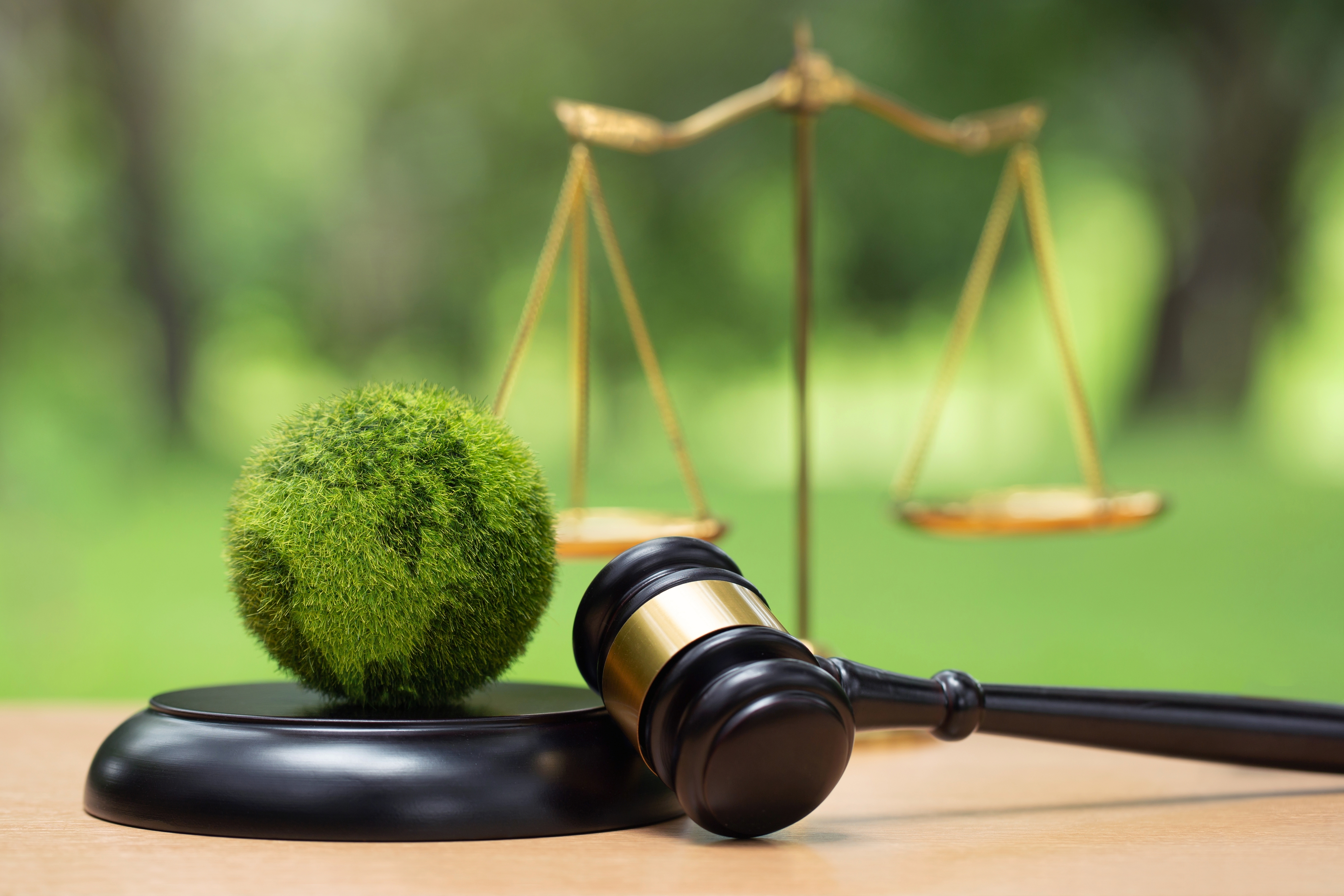 Land and Property Rights